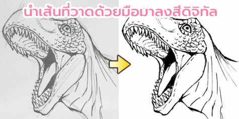 นำเส้นที่สแกนมาจากกระดาษเพื่อลงสีดิจิทัล
