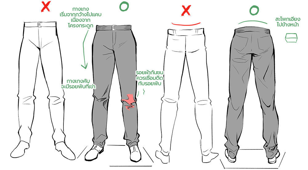 กางเกงจากด้านหน้าและด้านหลัง และรอยพับของกางเกง