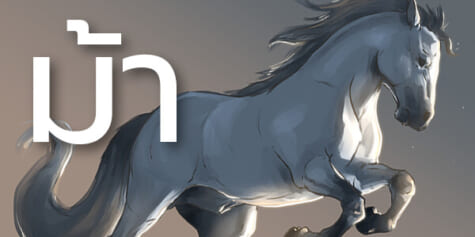 วิธีวาดม้า