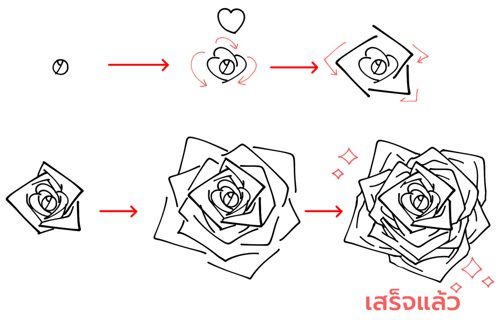 การร่างกุหลาบทีละขั้นตอนจากด้านบน
