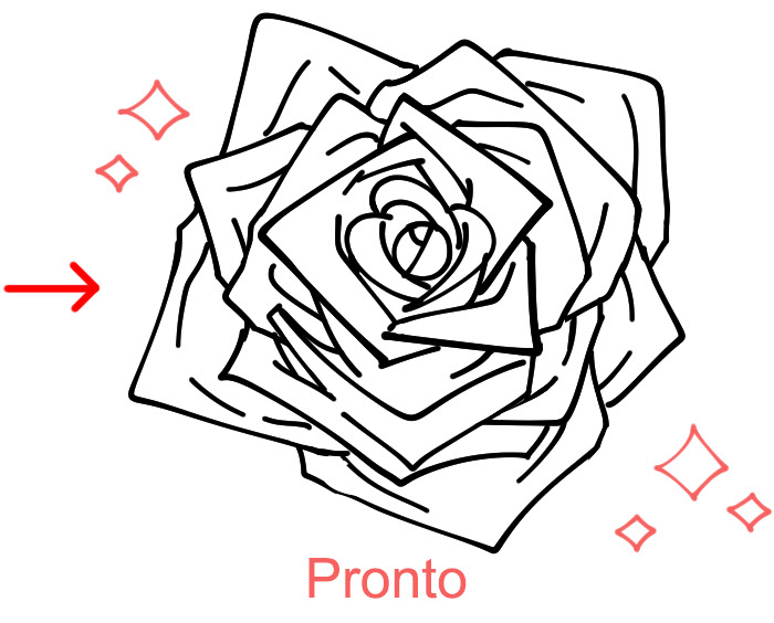 Esboço concluído de uma rosa vista de cima.