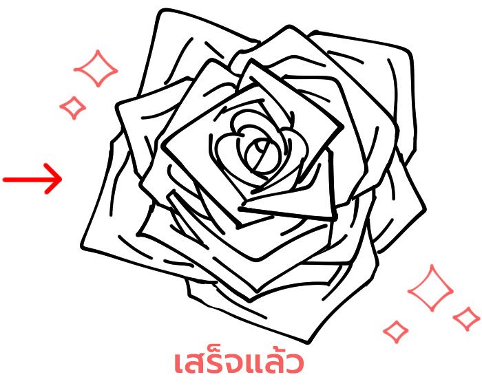 ภาพร่างกุหลาบจากด้านบนเสร็จแล้ว