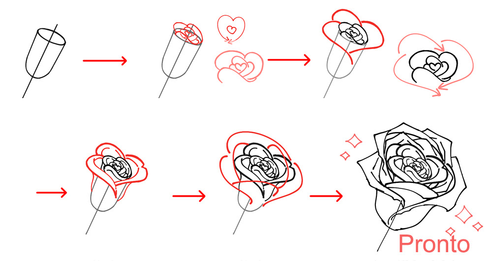 Tutorial passo a passo para iniciantes para esboçar uma rosa a partir de um ângulo.