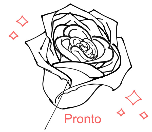 O esboço concluído de uma rosa vista a partir de um ângulo.