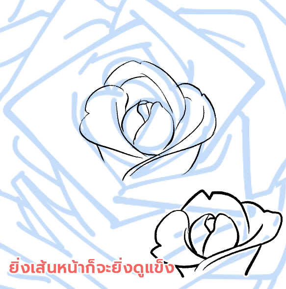 วาดงานเส้นที่บางและละเอียดอ่อนให้กับดอกกุหลาบตูมที่อยู่ตรงกลางดอกไม้
