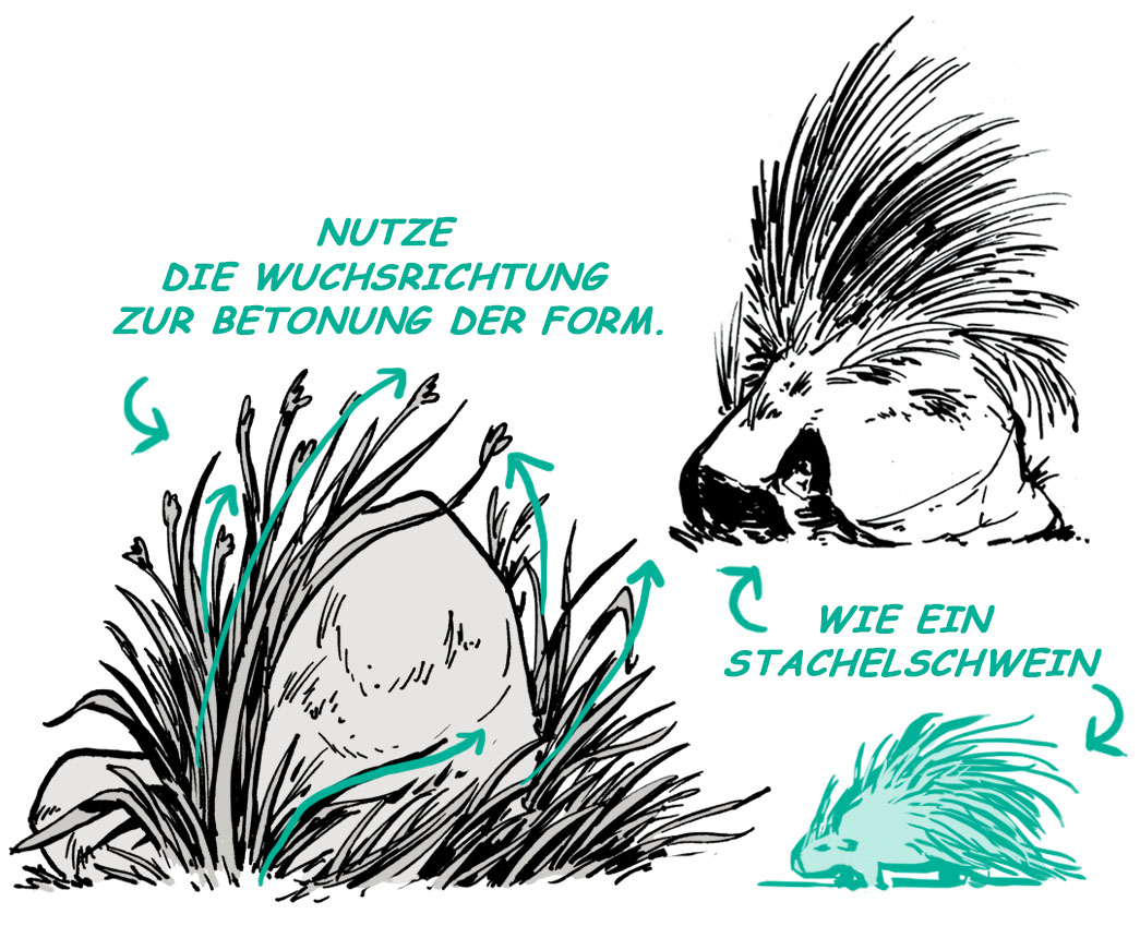 Verschiedene Wuchsrichtung von Gras zeichnen