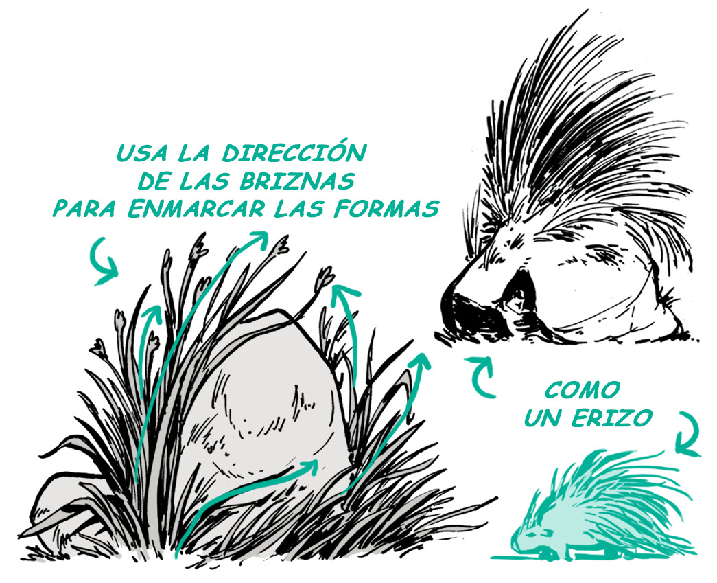 cómo dibujar hierba entre las rocas
