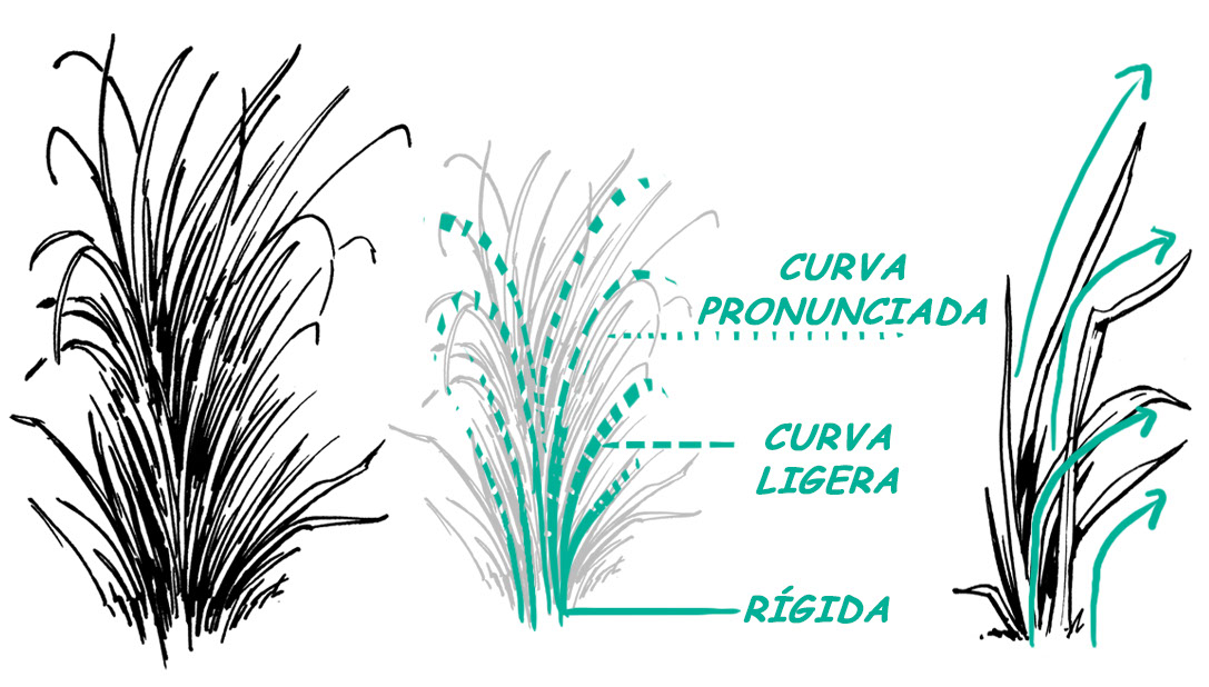 cómo dibujar hierba