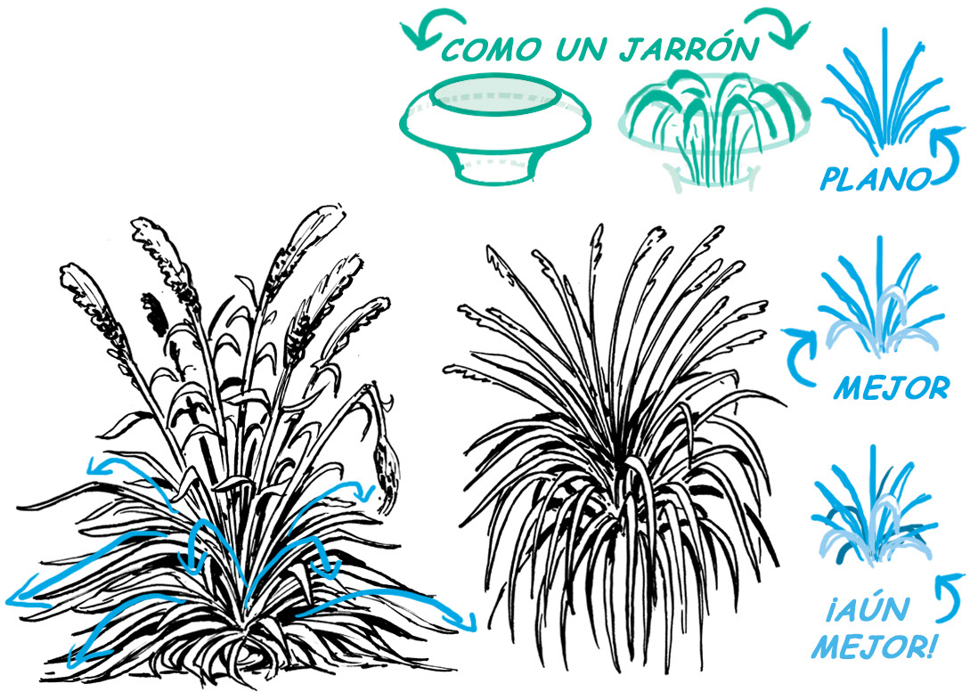 cómo dibujar hierba