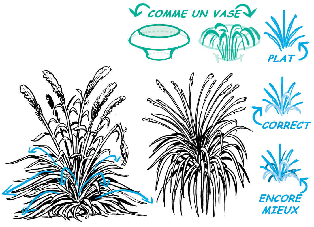 dessin végétation
dessiner de l'herbe