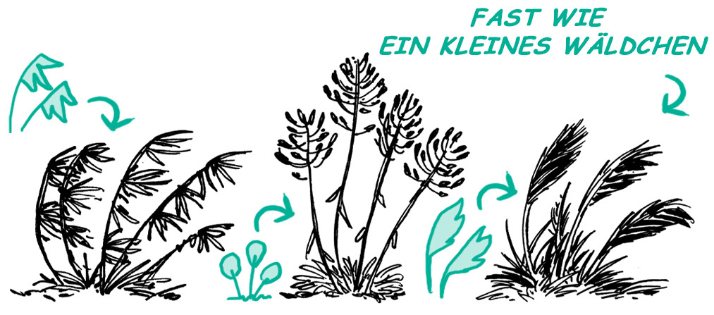 Hier werden Grasbüschel hinzugefügt.