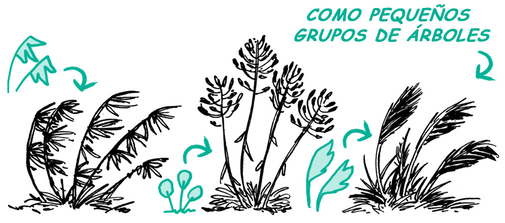 cómo dibujar hierba y plantas con semillas