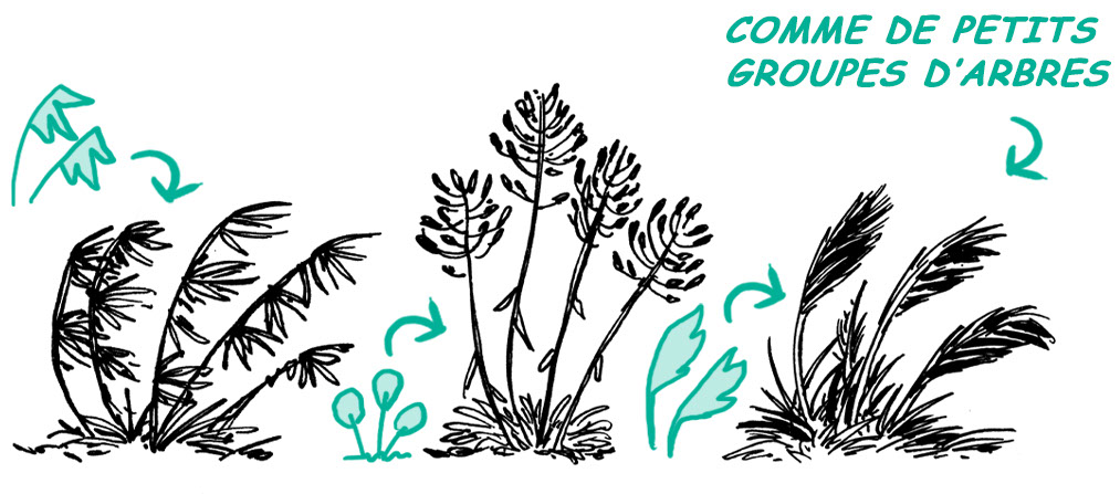 comment dessiner de l'herbe
dessiner de l'herbe