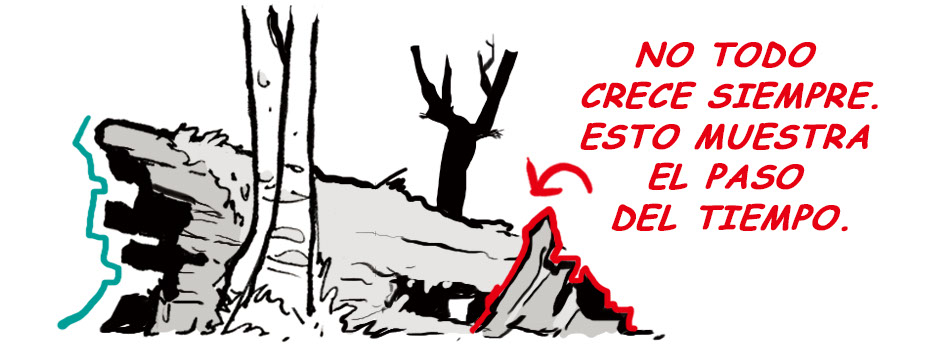 cómo dibujar árboles y troncos