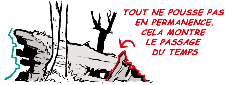 comment dessiner une forêt
dessin de forêt