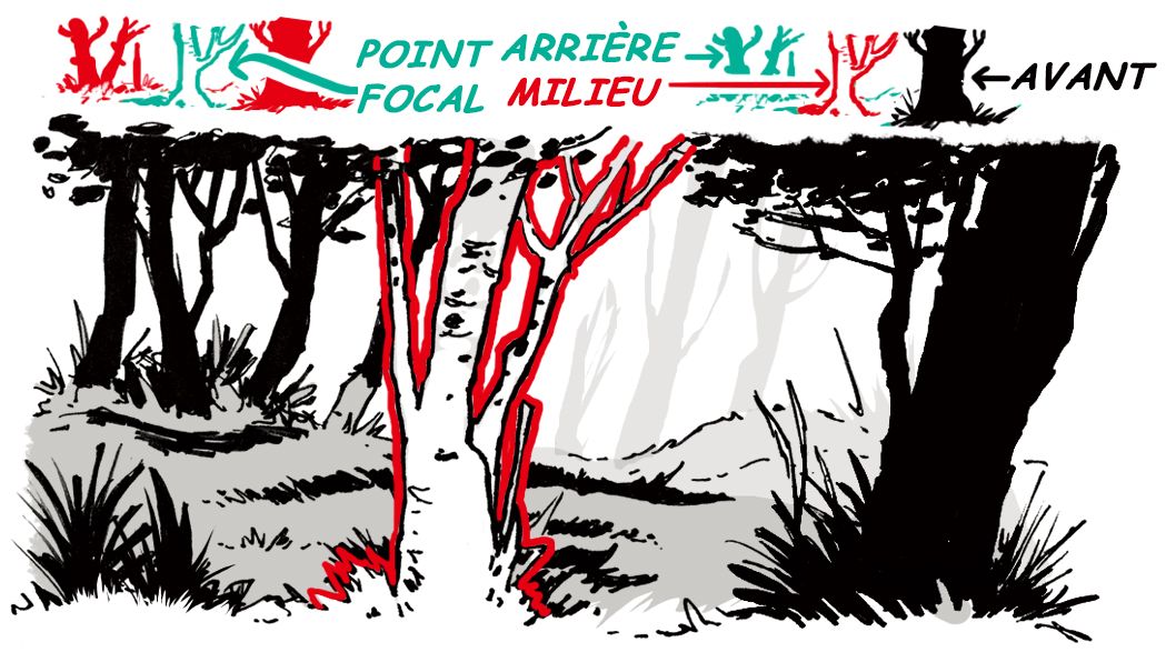 dessin arbre facile
dessiner des arbres
dessin végétation
comment dessiner une forêt
dessin de forêt