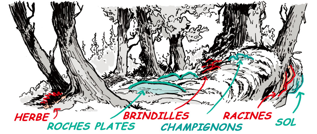 dessin arbre facile
dessiner des arbres
comment dessiner une forêt