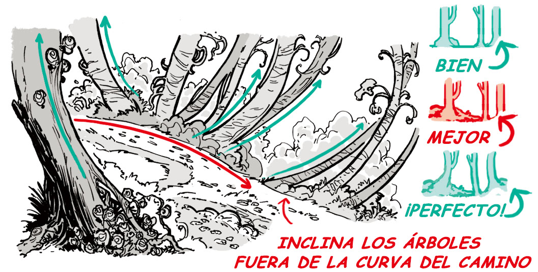 bosque y camino