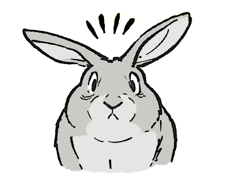 Dessiner un lapin