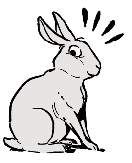 dessiner un lapin mignon