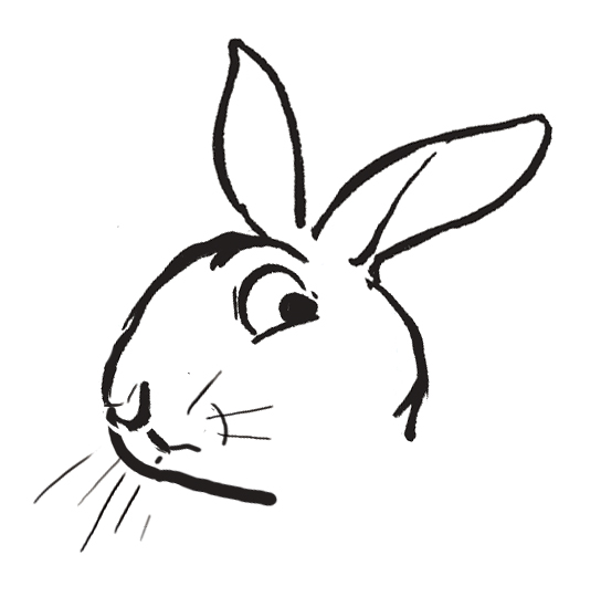 dessiner un lapin forme des oreilles