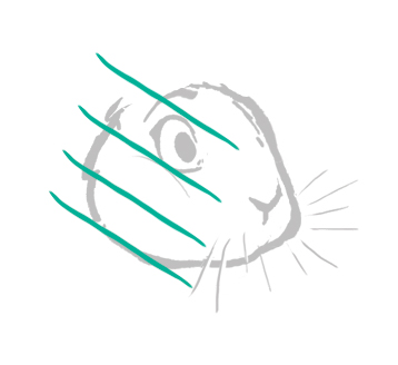 dessiner un lapin forme de la tête