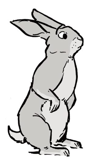 oreilles de lièvre en dessin