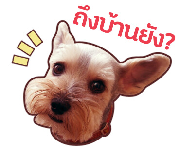 เพิ่มเส้นขอบและสีหน้า สติ๊กเกอร์น้องหมาเสร็จสิ้น