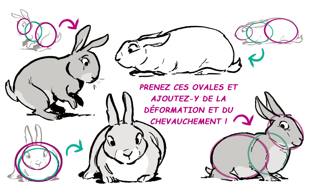Dessiner un lapin sautillant