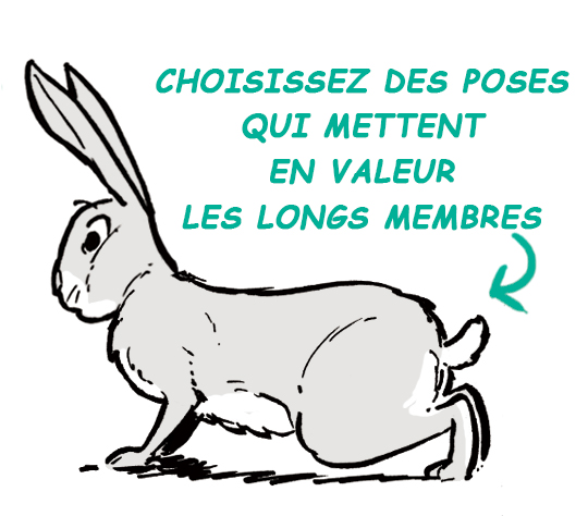 dessiner un lièvre