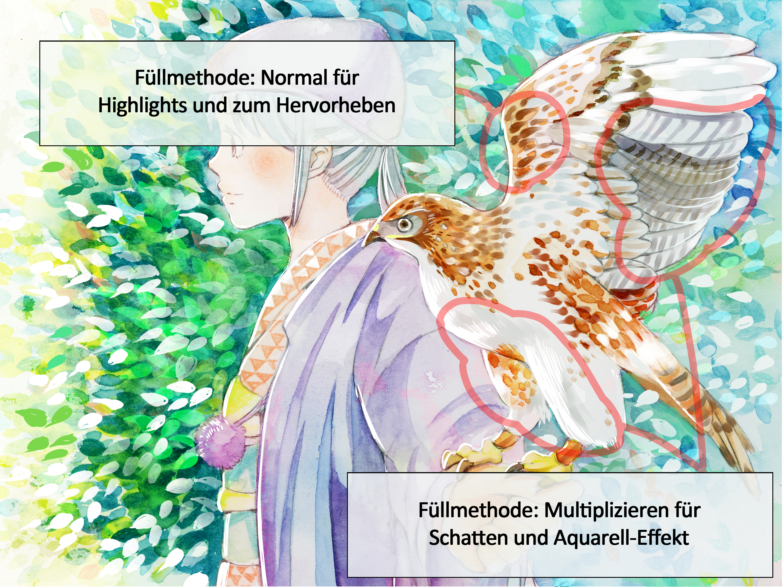 Der Falke erhält Highlights, Schatten und einen Aquarell-Effekt.