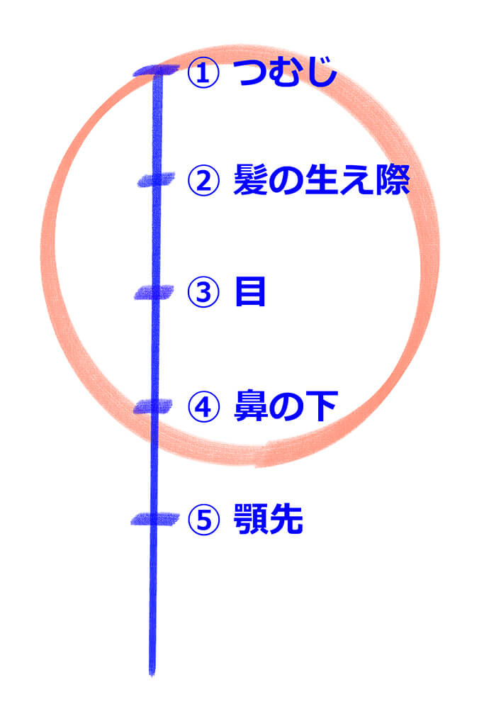中心線を5本の補助線で分割した画像