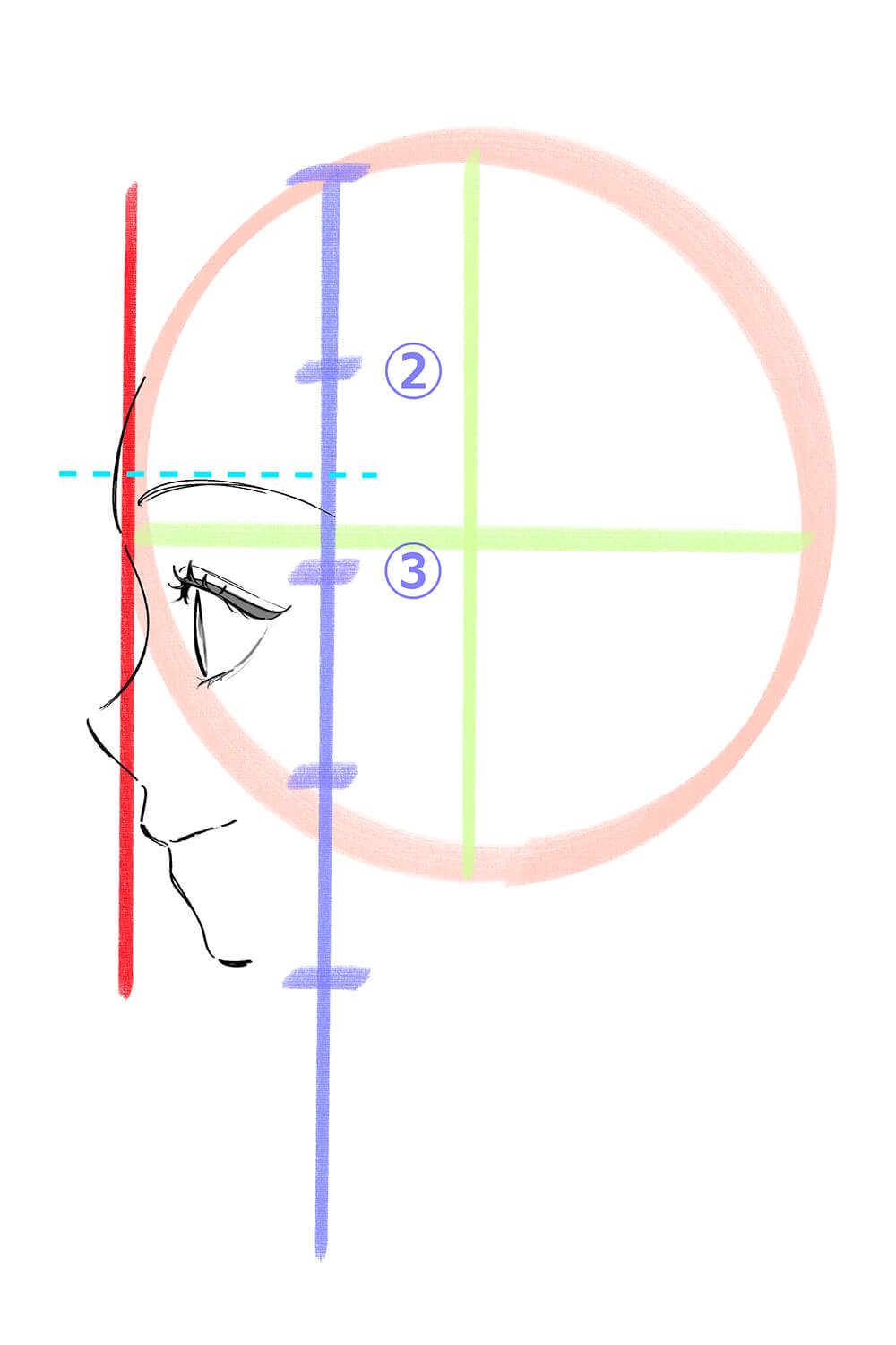 女性の横顔の眉を描いた画像