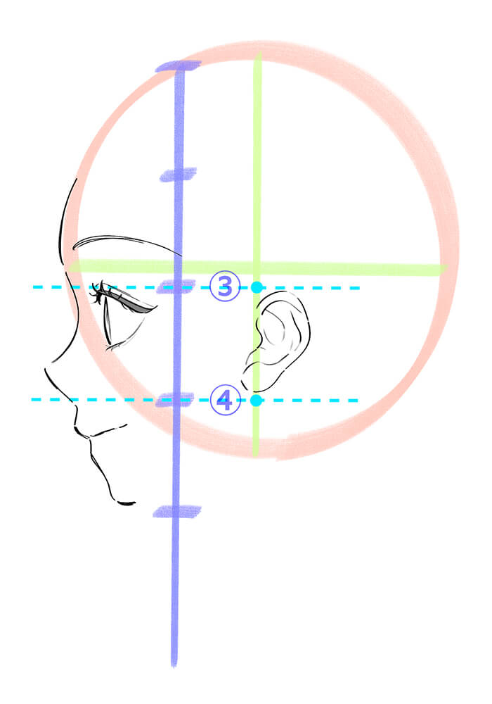 女性の横顔の耳を描いた画像