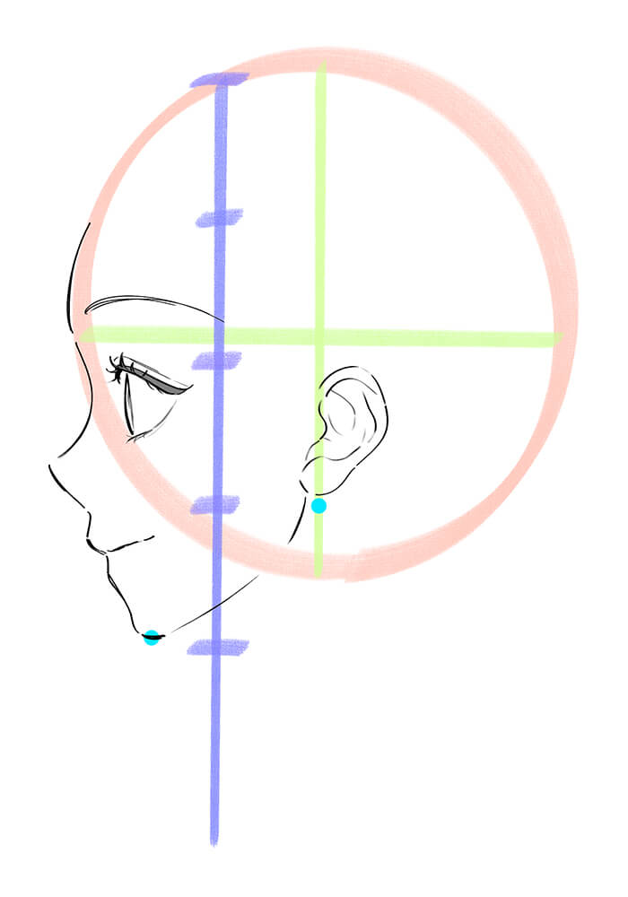 j女性の横顔の輪郭線を描いた画像