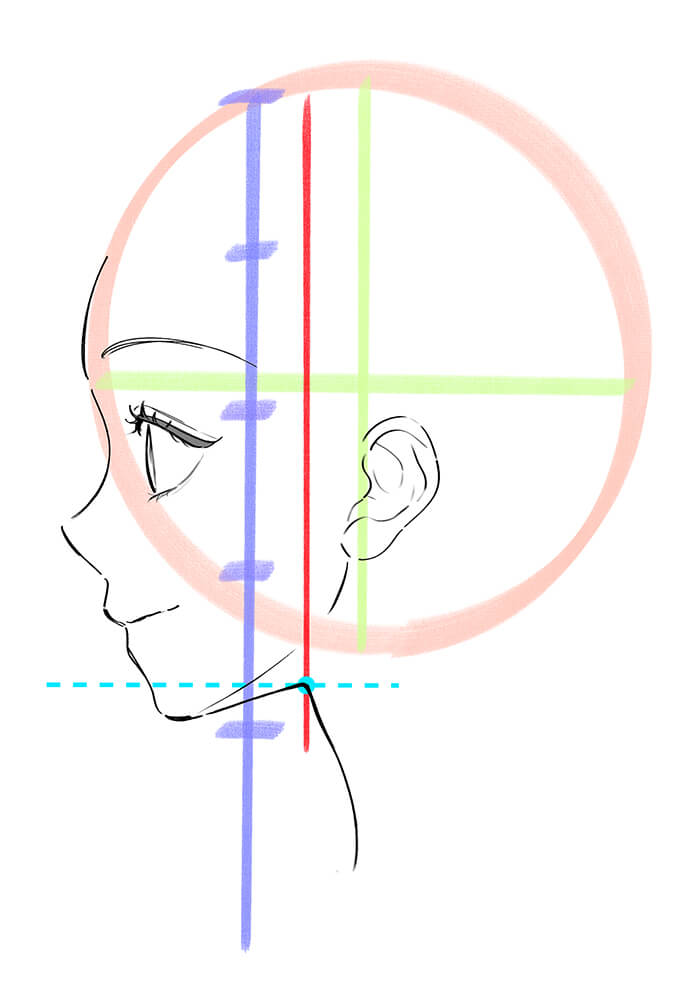 女性の横顔の首を描いた画像