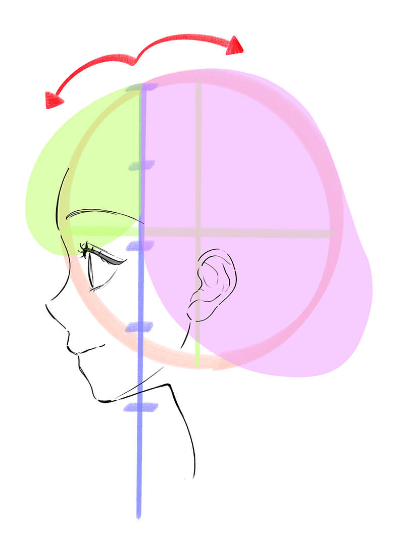女性の横顔の髪の描き方を解説した画像