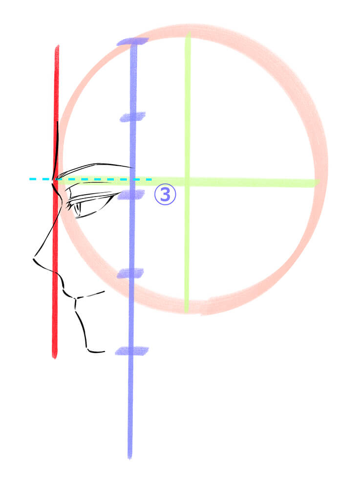 男性の横顔の眉を描いた画像