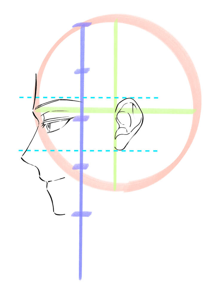 男性の横顔の耳を描いた画像