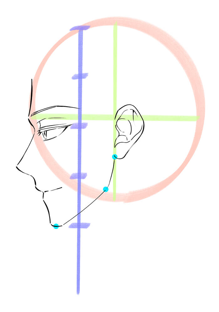 男性の横顔の輪郭線を描いた画像