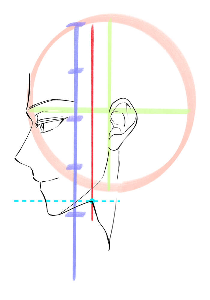 男性の横顔の首を描いた画像