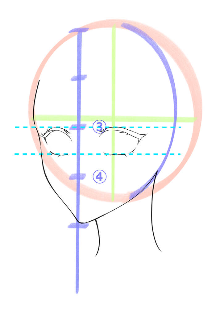 女性の斜め顔のしたまつげを描いた画像