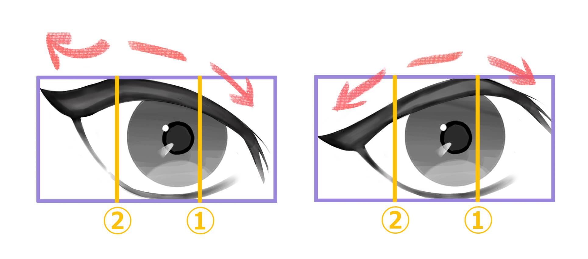 つり目とたれ目の解説をした画像
