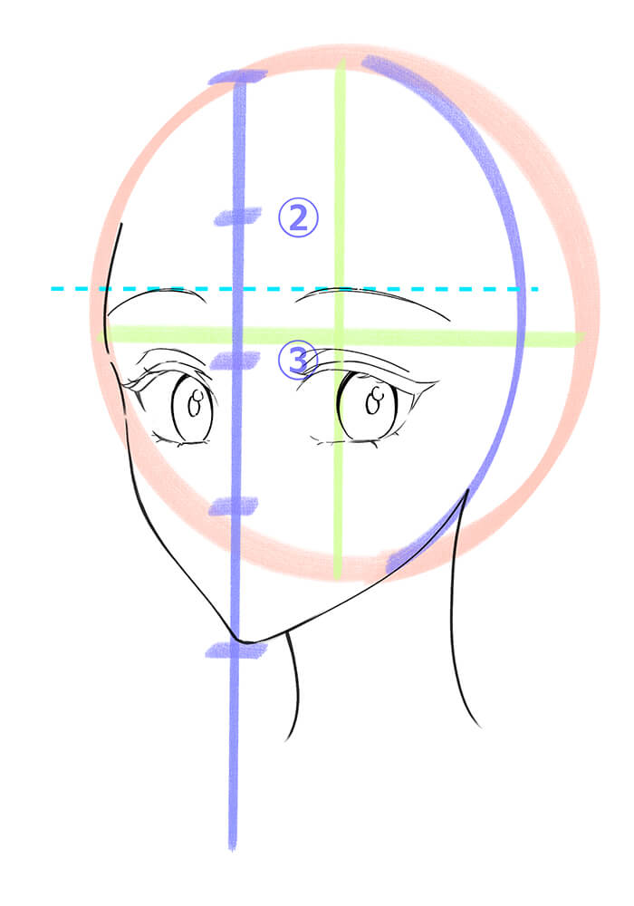 女性の斜め顔の眉毛を描いた画像