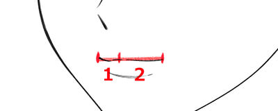女性の口のパースを解説した画像