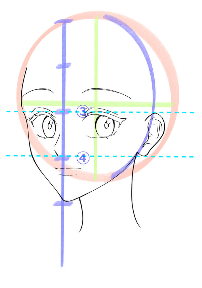 女性の斜め顔の耳を描いた画像