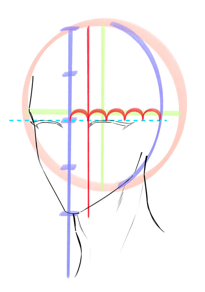 男性の斜め顔の目の位置を描いた画像