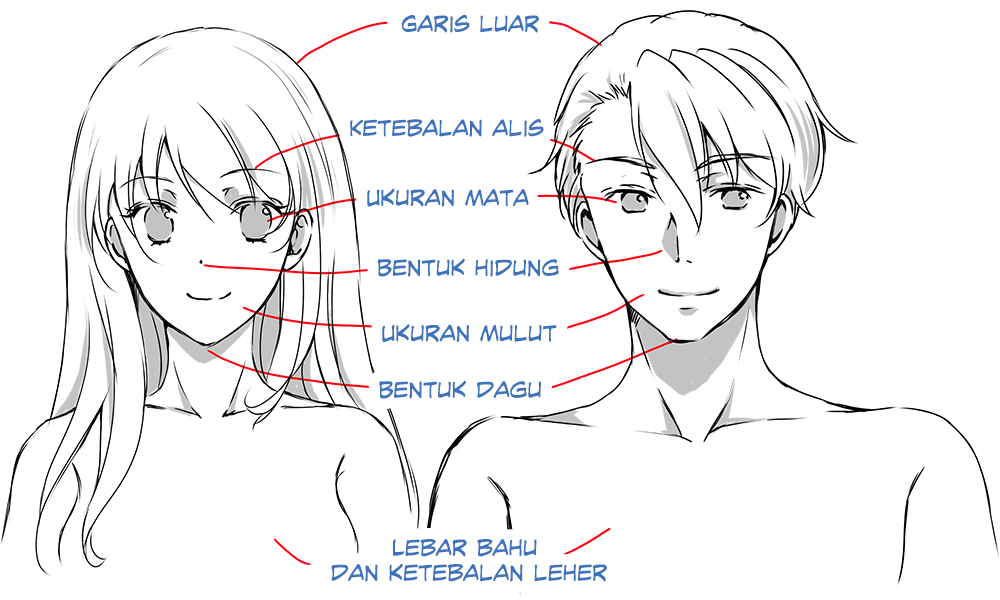 Cara Menggambar Cowok Ganteng "Ikemen": Perbedaan Wajah Pria dan Wanita