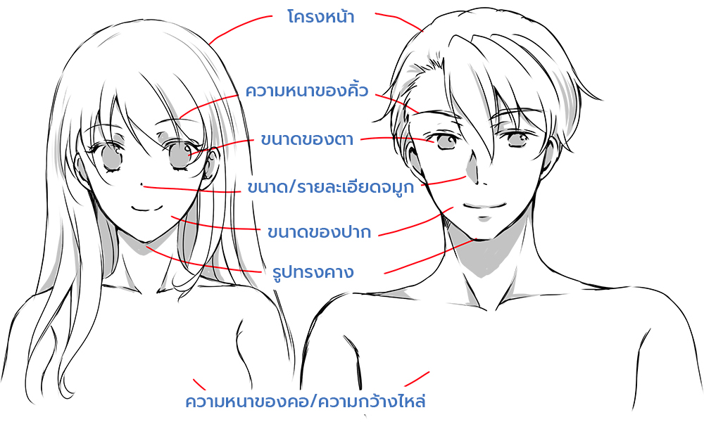 วิธีวาดใบหน้าหนุ่มหล่อ ความแตกต่างระหว่างลักษณะใบหน้าผู้หญิงและผู้ชาย
