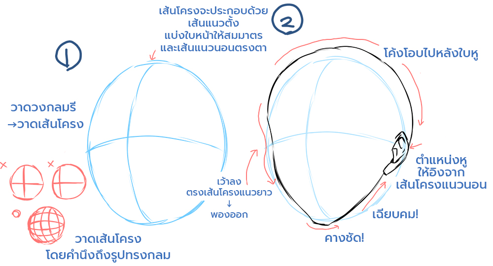 วิธีวาดใบหน้าหนุ่มหล่อ มาวาดใบหน้าผู้ชายกัน